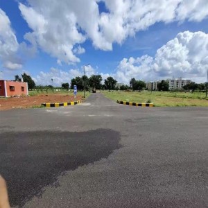 Service Land Property 