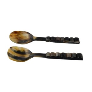 Serving Horn  Spoon