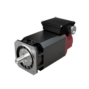 Servo Spindle Motors