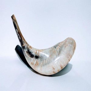 Sheep Horn Shofer