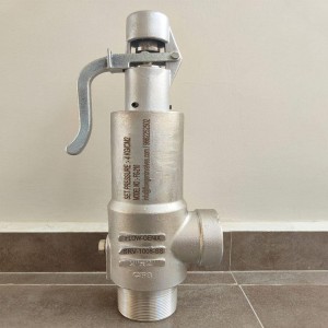 Silver Pressure Safety Valve