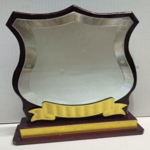 Silver Wooden Trophy