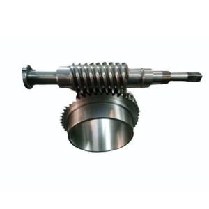 Silver Worm Wheel Gear