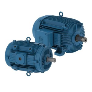 Smoke Extraction Motor