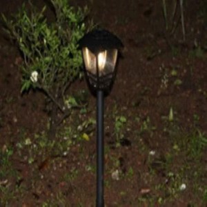 Solar LED Tapetum Street Light, Height is 3-5 meters