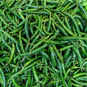 Spicy Fresh Green Chilli
