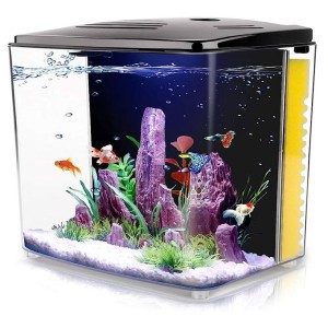 Square Fish Aquarium