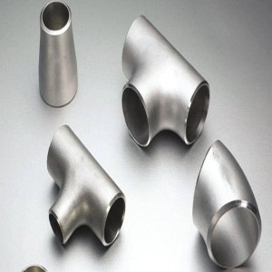 SS 316L Pipe Fittings, Molybdenum-added corrosion
