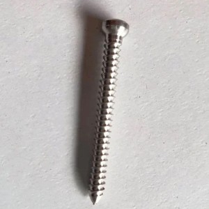 Ss Cortical Screws