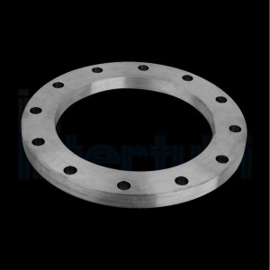 Stainless Steel Plate Flanges