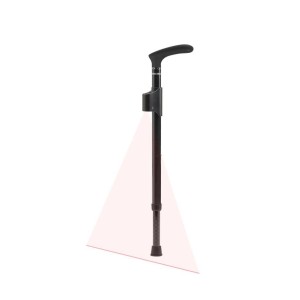 Stand Laser Cane