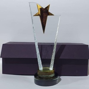 Star Crystal Award