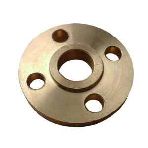 Steel Casting Flange