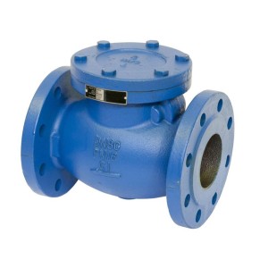 Steel Check Valve