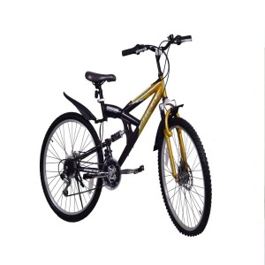 Steel Hamilton Bicycle 