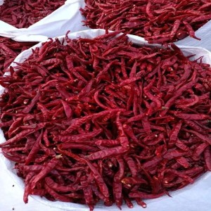 Stem Dry Chilies