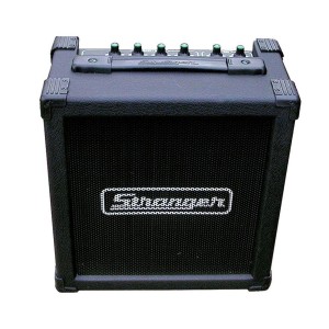 Stranger Speaker Amplifier