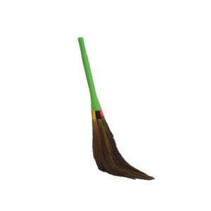 Striped Grass Broom
