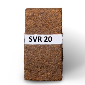 SVR 10