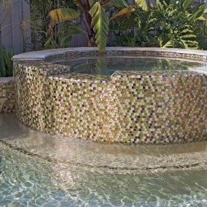 Glossy Designs Swimming Pool Tiles