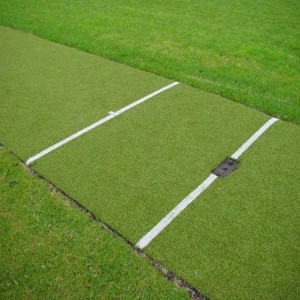 Synthetic Astro Turf Pitch, Curly shape, 9mm thickness
