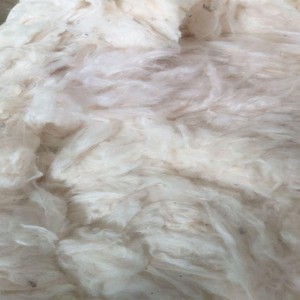Textile Raw Cotton