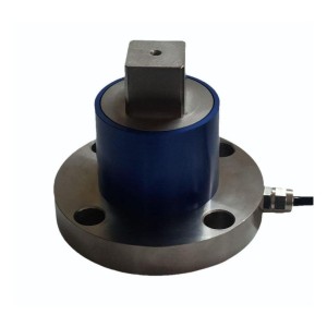 Torque Static Sensor