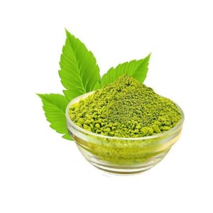 Ursolic Acid Extract