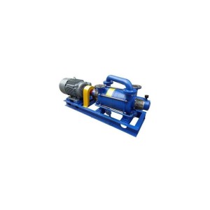Vaccum Mild Steel Pump