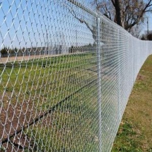 Visible Chain Link Fence