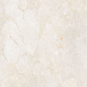 Vitrified Floor Tile