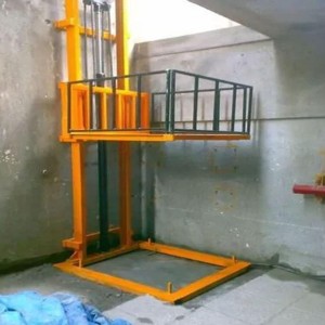 Wall Mounted Lifts