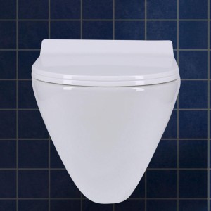 Wall Mounted Toilet Seat
