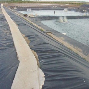 Water Containment Geomembrane