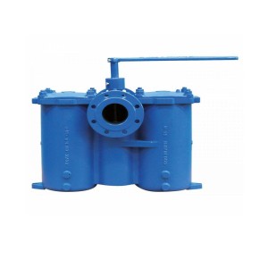 Water Duplex Strainer