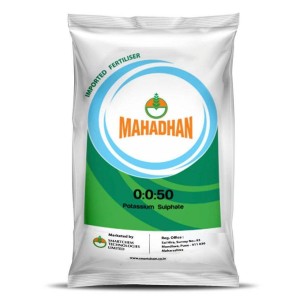 Water Soluble Fertilizer