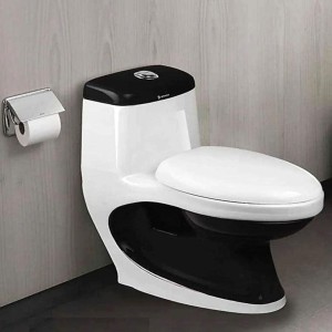 Western water closet