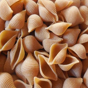 Wheat Shells Pasta
