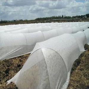 White Crop Film Cover