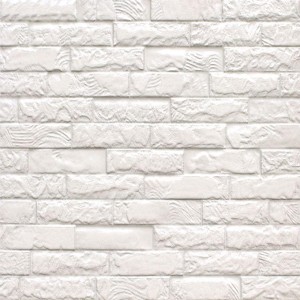 White Elevation Tiles, Attractive appearance