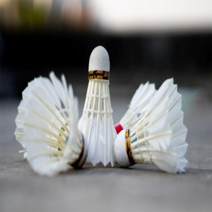 White Golden Shuttlecock