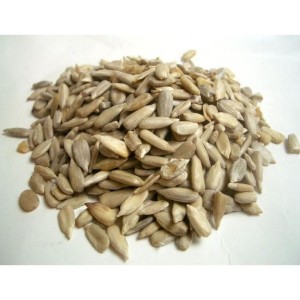 White Sunflower Seed 