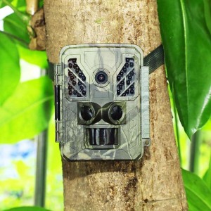 Wildlife Trap Camera
