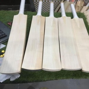 Willow Wood Cricket Bat
