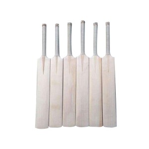 Willow Wooden Bat