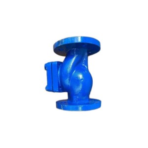 WJ Cast Iron Non Return Valve, 1 inch valve size