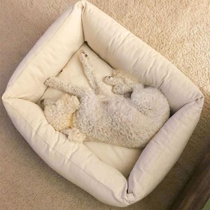 Wool Pet Bed