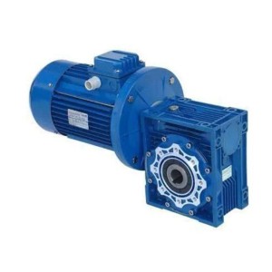 Worm Gear Motor