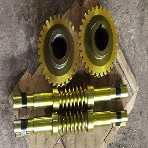 Worm Wheel Set