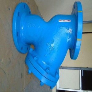 Y Type Pipeline Strainer